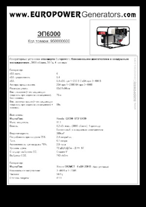 Benzine Generatoren Europower EP6000 (S)