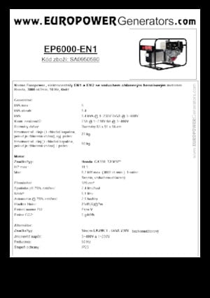 Benzine Generatoren Europower EP6000 EN1 (S)