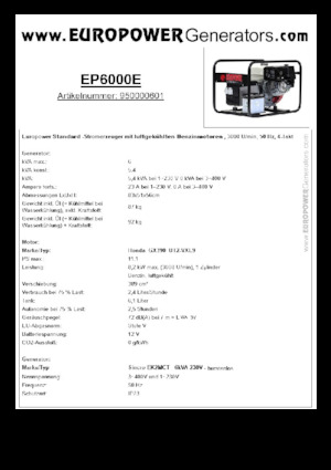 Benzine Generatoren Europower EP6000E (S)
