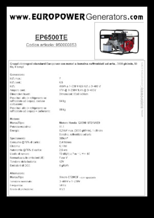 Benzine Generatoren Europower EP6500TE (S)