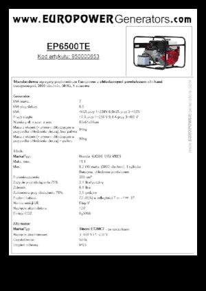 Benzine Generatoren Europower EP6500TE (S)