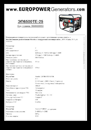 Benzine Generatoren Europower EP6500TE-25 (S)