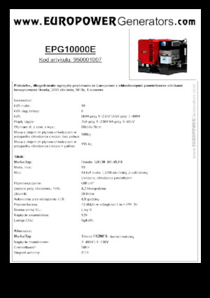 Benzine Generatoren Europower EPG10000E (S)
