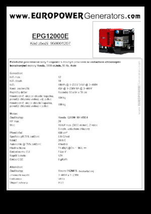 Benzine Generatoren Europower EPG12000E (S)