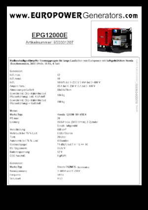 Benzine Generatoren Europower EPG12000E (S)