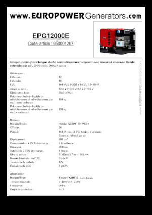 Benzine Generatoren Europower EPG12000E (S)