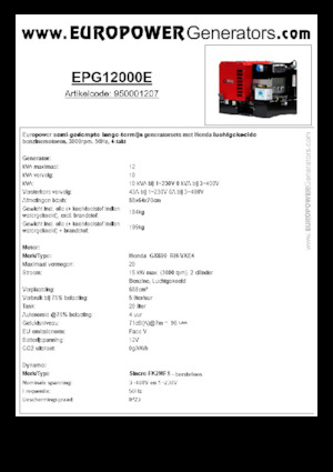 Benzine Generatoren Europower EPG12000E (S)