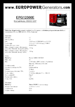 Benzine Generatoren Europower EPG12000E (S)