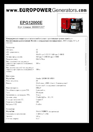 Benzine Generatoren Europower EPG12000E (S)