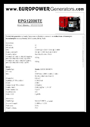 Benzine Generatoren Europower EPG12000TE (S)