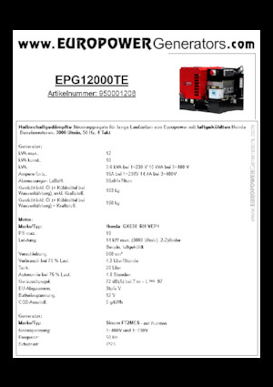 Benzine Generatoren Europower EPG12000TE (S)