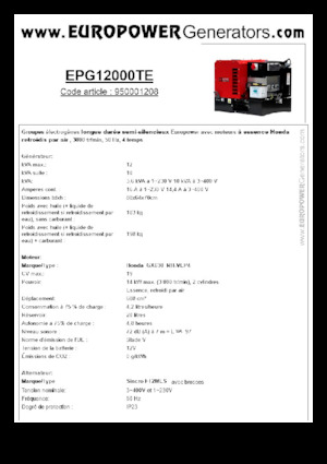 Benzine Generatoren Europower EPG12000TE (S)