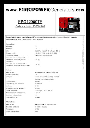Benzine Generatoren Europower EPG12000TE (S)