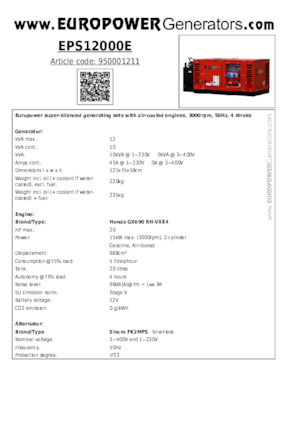 Benzine Generatoren Europower EPS12000E (S)