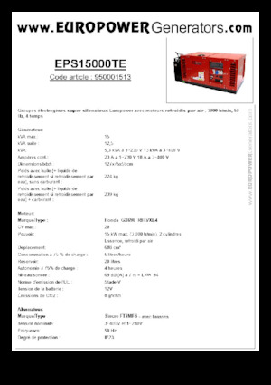 Benzine Generatoren Europower EPS15000TE (S)