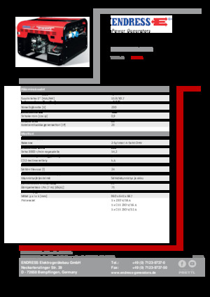 Benzine Generatoren Endress ESE 1206 HS-GT ES
