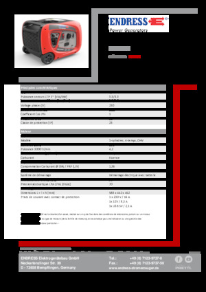 Benzine Generatoren Endress ESE 3000i