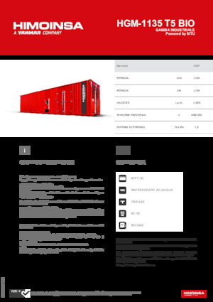 Benzine Generatoren HIMOINSA HGM-1135 T5 BIO