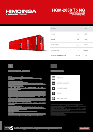 Benzine Generatoren HIMOINSA HGM-2030 T5 NG