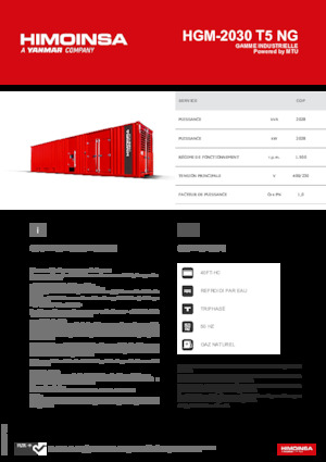 Benzine Generatoren HIMOINSA HGM-2030 T5 NG