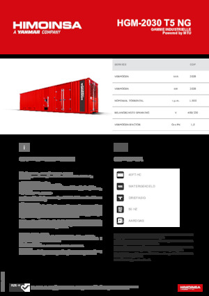 Benzine Generatoren HIMOINSA HGM-2030 T5 NG