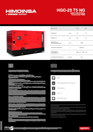 Benzine Generatoren HIMOINSA HGO-25 T5 NG