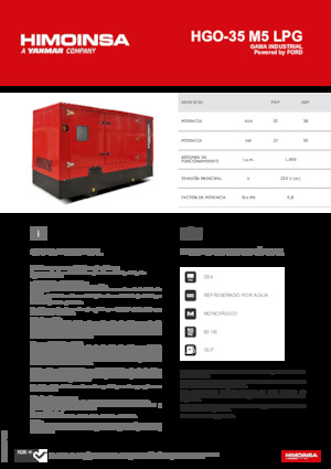 Benzine Generatoren HIMOINSA HGO-35 M5 LPG