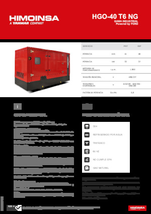 Benzine Generatoren HIMOINSA HGO-40 T6 NG