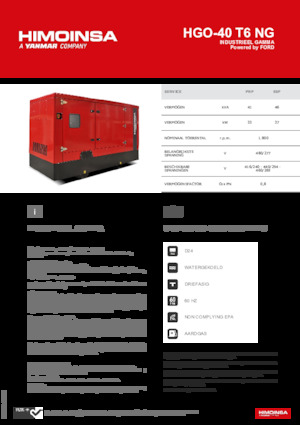 Benzine Generatoren HIMOINSA HGO-40 T6 NG