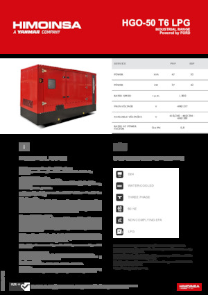Benzine Generatoren HIMOINSA HGO-50 T6 LPG