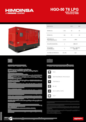 Benzine Generatoren HIMOINSA HGO-50 T6 LPG