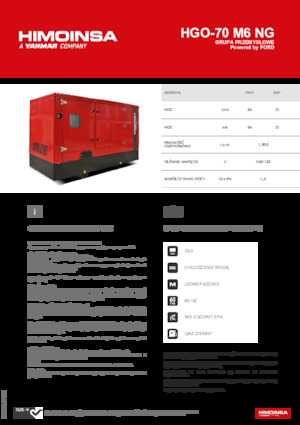 Benzine Generatoren HIMOINSA HGO-70 M6 NG