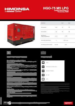 Benzine Generatoren HIMOINSA HGO-75 M5 LPG