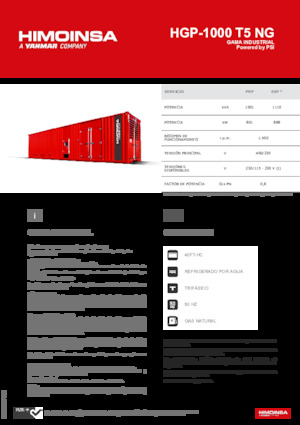Benzine Generatoren HIMOINSA HGP-1000 T5 NG
