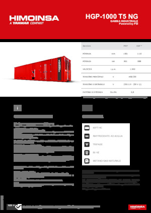 Benzine Generatoren HIMOINSA HGP-1000 T5 NG