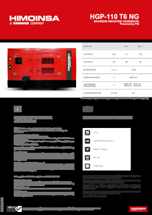 Benzine Generatoren HIMOINSA HGP-110 T6 NG