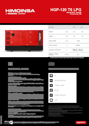 Benzine Generatoren HIMOINSA HGP-120 T6 LPG