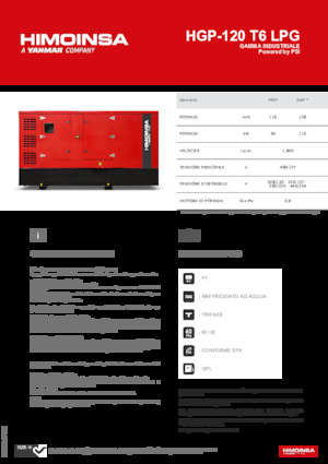 Benzine Generatoren HIMOINSA HGP-120 T6 LPG