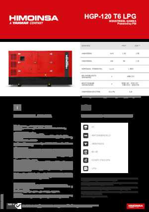 Benzine Generatoren HIMOINSA HGP-120 T6 LPG