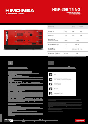 Benzine Generatoren HIMOINSA HGP-200 T5 NG