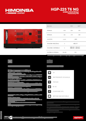 Benzine Generatoren HIMOINSA HGP-225 T6 NG