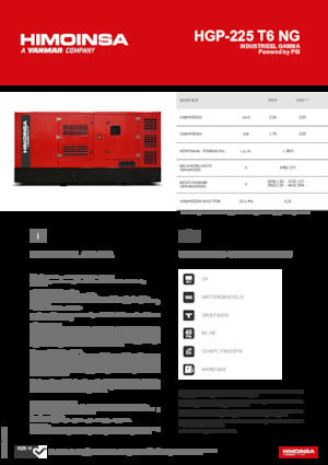 Benzine Generatoren HIMOINSA HGP-225 T6 NG
