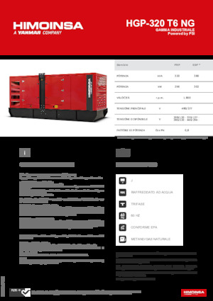Benzine Generatoren HIMOINSA HGP-320 T6 NG