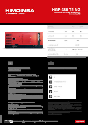 Benzine Generatoren HIMOINSA HGP-380 T5 NG