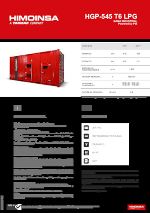Benzine Generatoren HIMOINSA HGP-545 T6 LPG