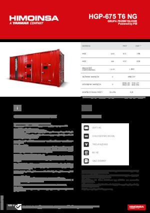 Benzine Generatoren HIMOINSA HGP-675 T6 NG