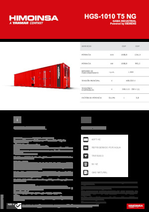 Benzine Generatoren HIMOINSA HGS-1010 T5 NG