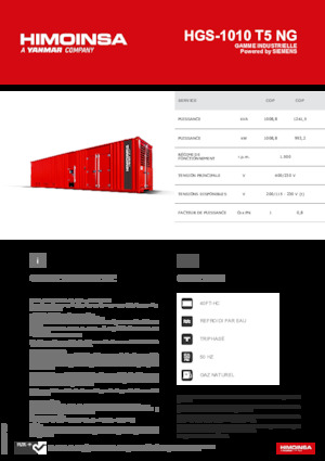Benzine Generatoren HIMOINSA HGS-1010 T5 NG