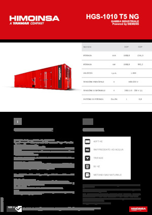 Benzine Generatoren HIMOINSA HGS-1010 T5 NG