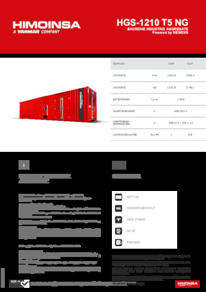 Benzine Generatoren HIMOINSA HGS-1210 T5 NG